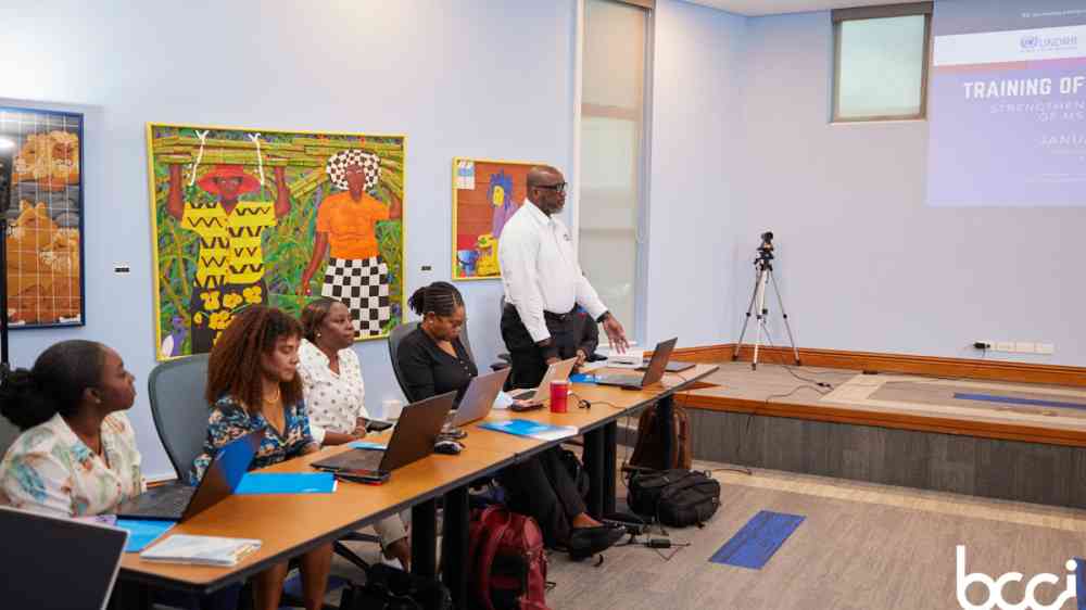 Reginald Worrell of Stematic speaking at a workshop