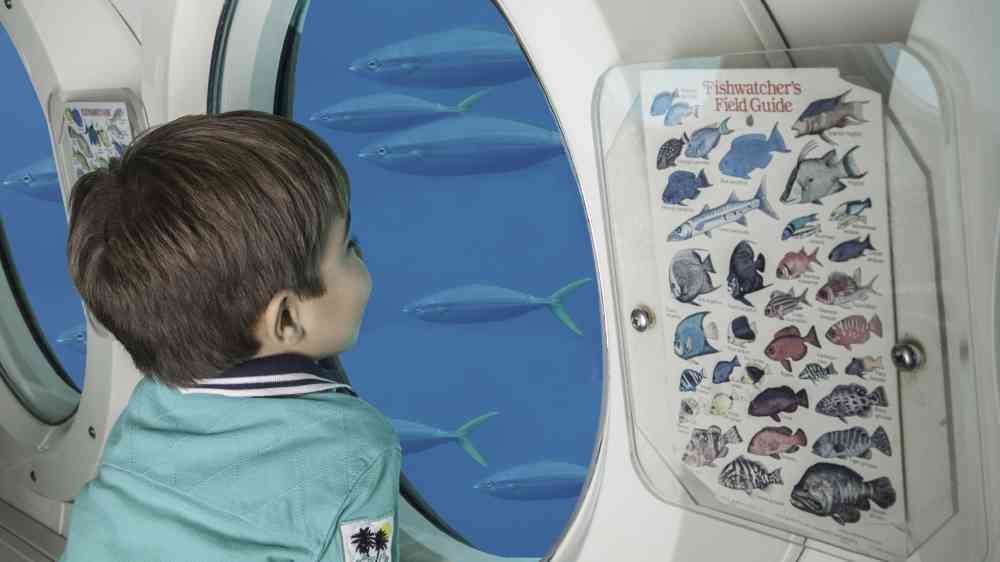 Boy looking at fish through a sub marine