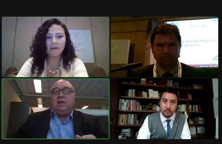 people in a webcall
