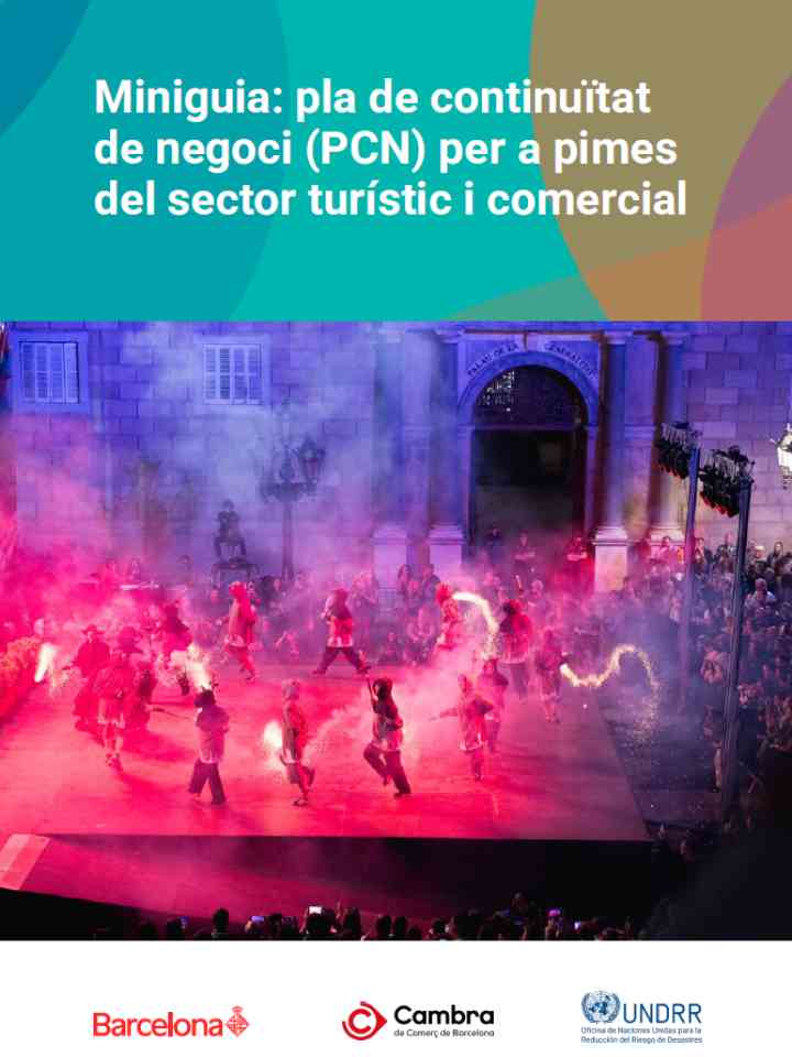 Miniguia PCN