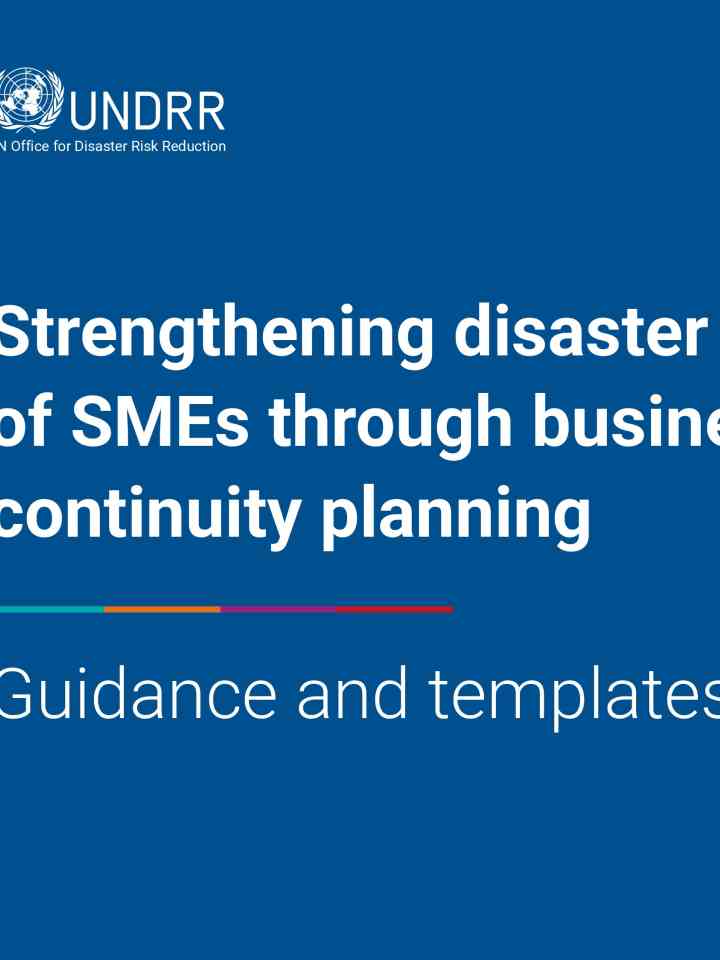 Strengthening disaster resilience of SMEs through business continuity planning thumbnail