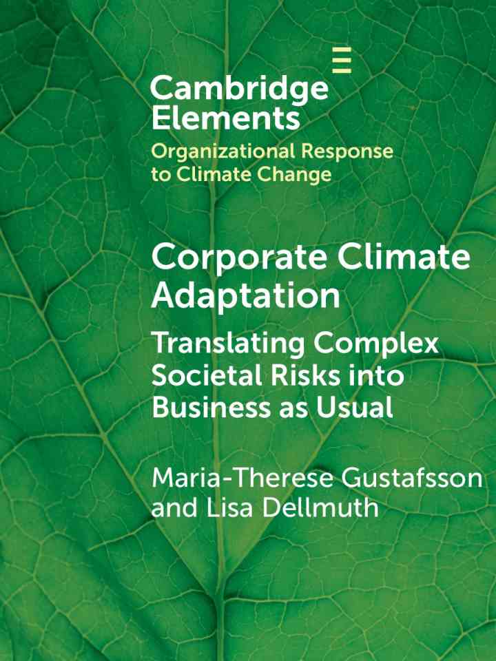 Corporate climate adaptation: translating complex societal risks into business as usual thumbnail